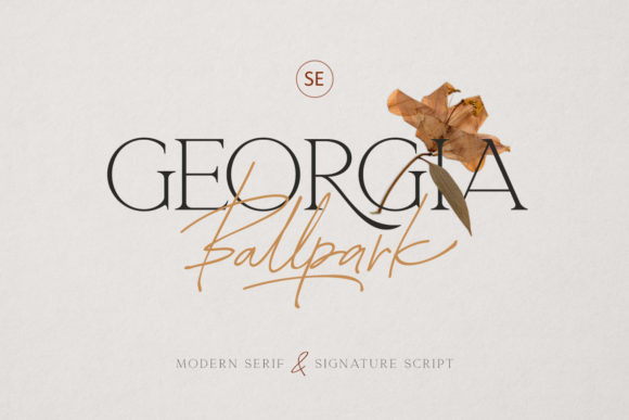 Georgia Ballpark Review